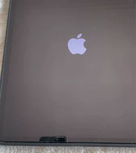【顺丰包邮】Apple iPad Pro1...