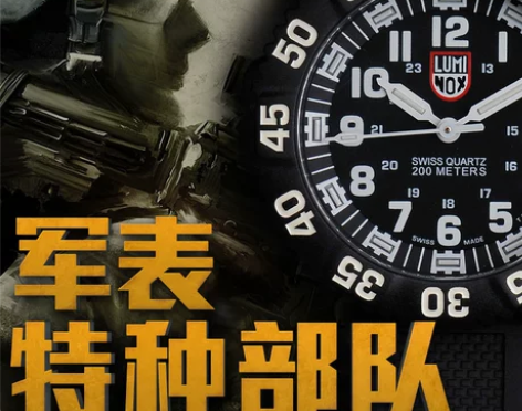 正品Luminox鲁美诺斯雷美诺时 户外表...