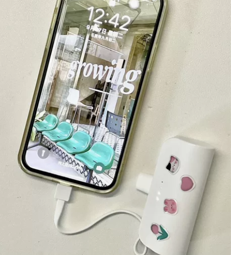 口红胶囊充电宝 质保一年 苹果华为两个头子...