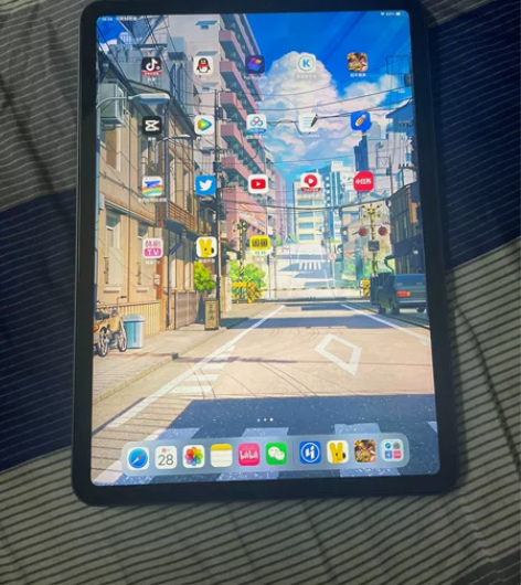 出一个Ipadpro2021 256g储存...
