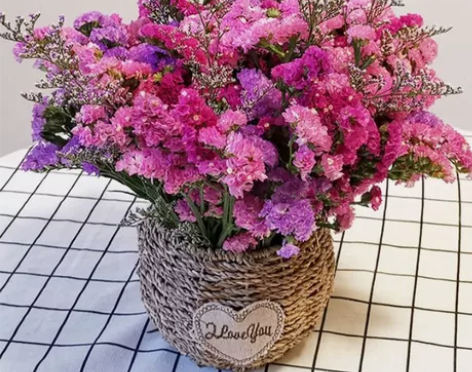 天然风勿忘我满天星干花花束装饰摆件真花家庭...