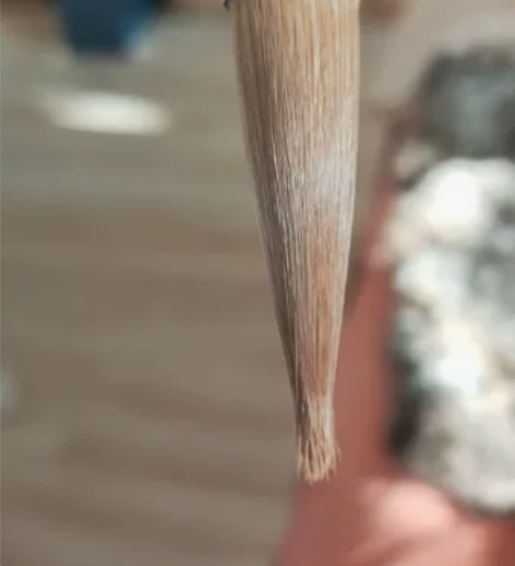 日本回流高级大号豹狼毫毛笔，没使用过，包浆...