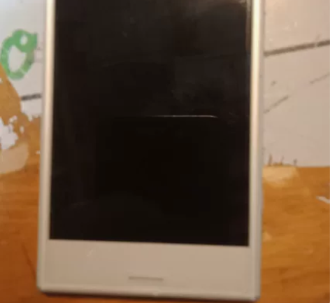 Sony/索尼 索尼 XZ1 Compac...