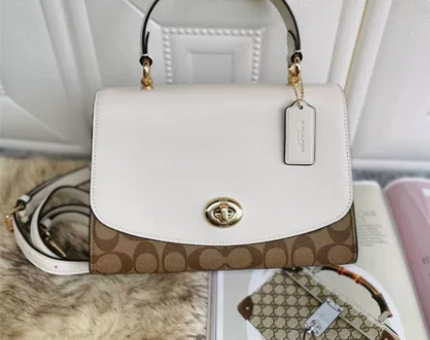 coach迪士尼小飞象旋钮包正品蔻驰旋锁手...