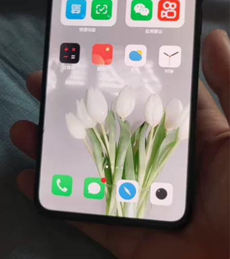 魅族17 墨绿色，8+128京东购入 ，无...