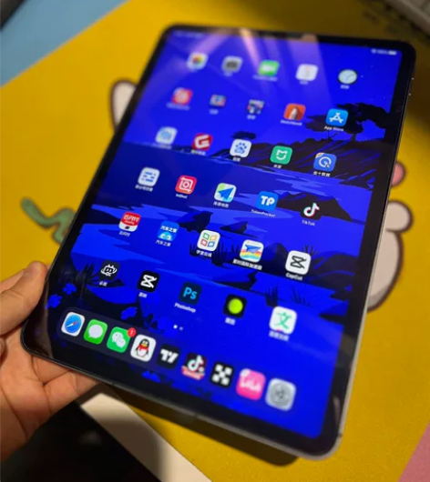 Apple/苹果 iPad Pro 11英...