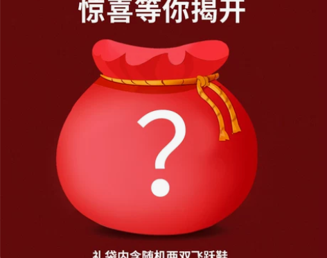 feiyue/飞跃福袋/神秘包裹 随机两双...