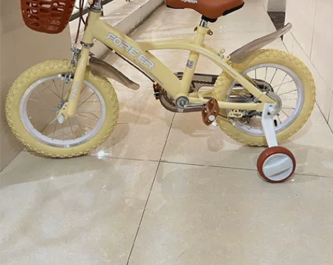 【全网最低全新永久儿童自行车】新款永久儿童...