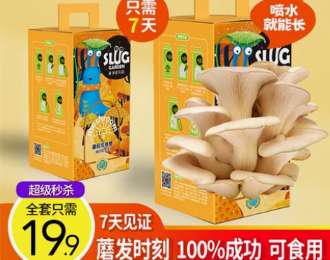 儿童DIY蘑菇种植食用菌包平菇趣味小盆栽