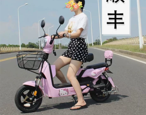 电动车 电动车新国标48v电动自行车电瓶车...