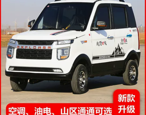 电动车 新能源电动四轮车成人代步车家用汽车...