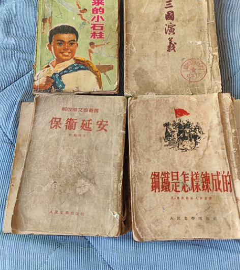 几本老书,要的带价来,钢铁是怎样炼成的19...