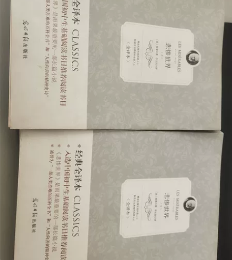 悲惨世界全译本 上下册 疫情不能及时发货感...