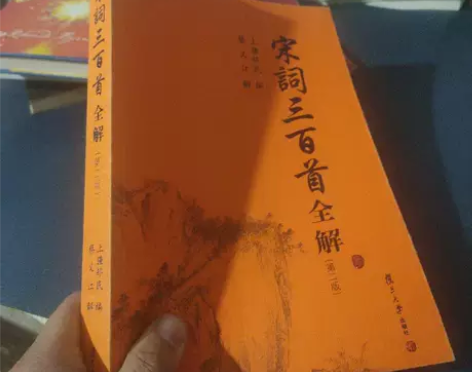 正版二手书 古典文学赏析系列：宋词三百首全...