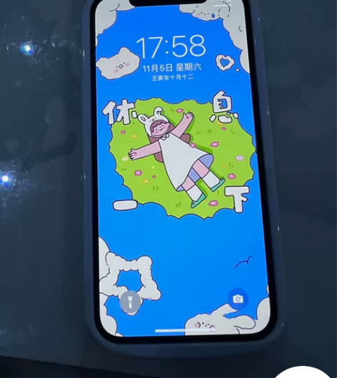 苹果12pro  国行256内存 充电20...