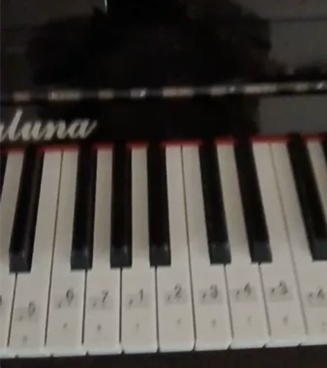 上海布鲁纳钢琴 学习钢琴 几乎全新 孩子不...