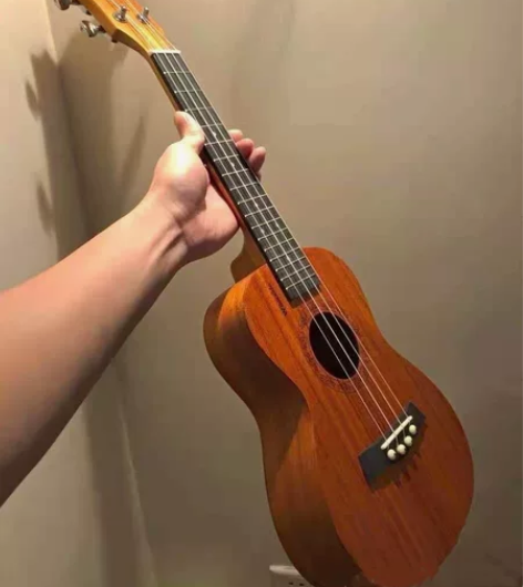 （全新）尤克里里【低价出原价400多的尤克...