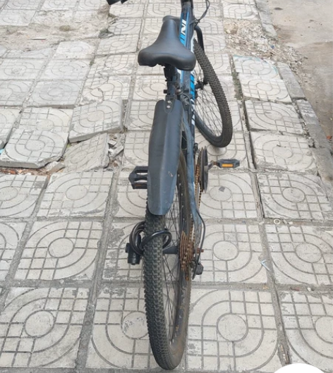 金米尼自行车   很久没起了  需要的自提...