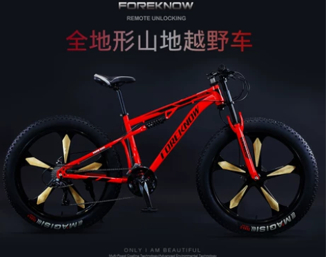 山地自行车越野车沙滩雪地车4.0大轮胎变速...