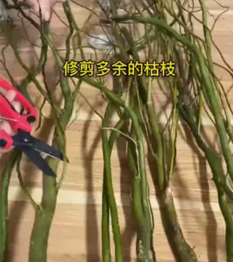 【春季水培绿植】龙柳鲜枝插花客厅落地插水植...