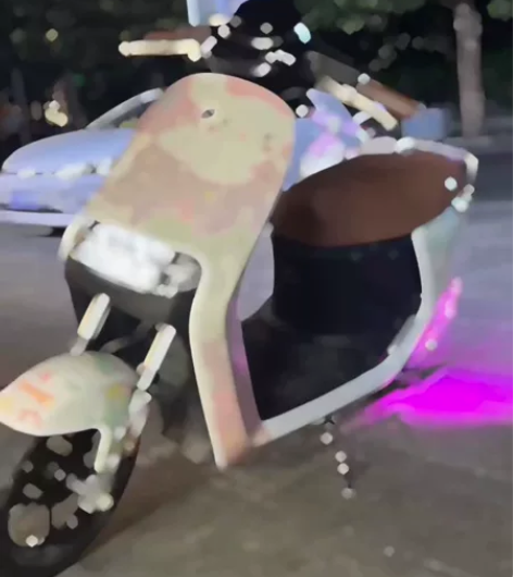 九号E110L 刚买一个月 2000公里慢...