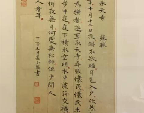 书法作品－苏轼散文 书法，马小起作品，内容...