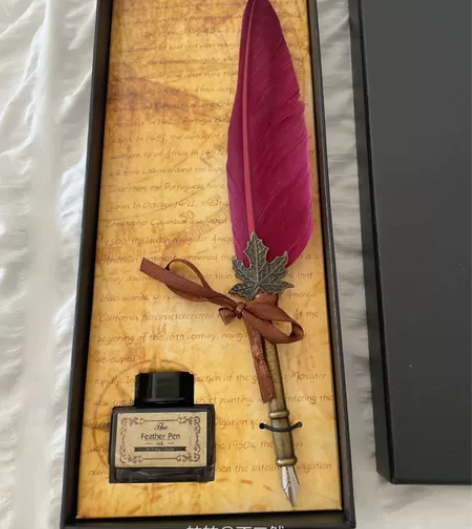 鸡毛笔定制款，全新未使用，送一瓶全新墨水 ...