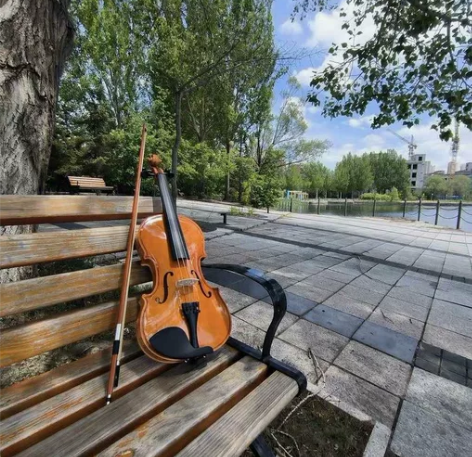 转让个人原价3500入手的4/4小提琴，买...