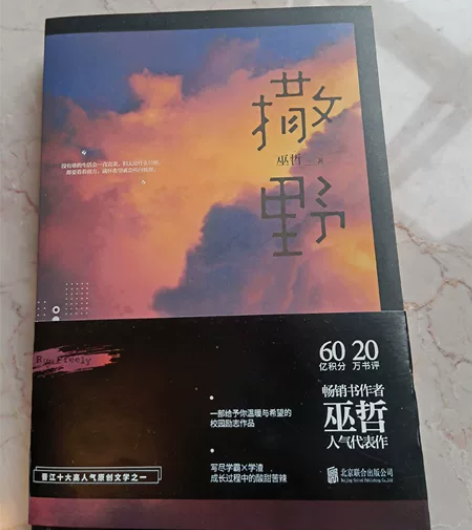 小说，买错书了，几乎全新 感兴趣的话点“我...