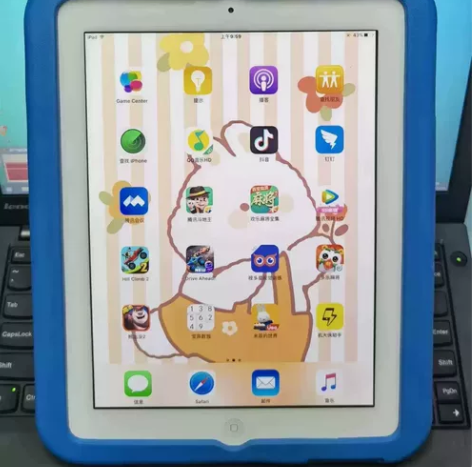 帮朋友在闲鱼上出售她闲置的平板平板ipad...