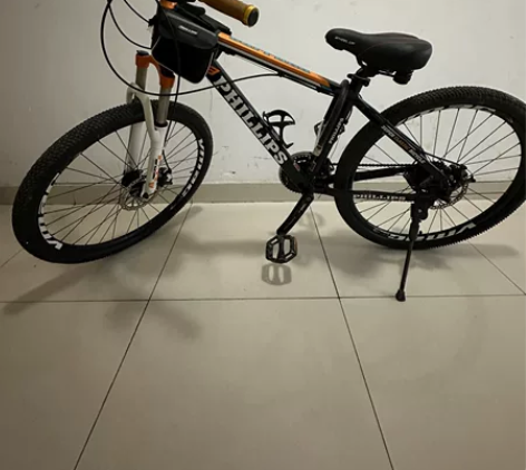 菲利普自行车，山地车轮胎26一1.95 感...