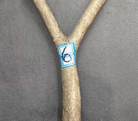 弹弓叉 弹弓 原木 东北荒山老木头6号 感...