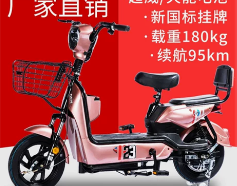 ?电动车 电动车新国标两轮电瓶车爱玛雅迪小...