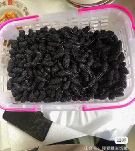 Java 计算机 银行 互联网秋招春招 面...