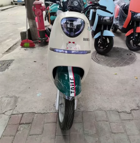 台铃电动车 新国标 48-60伏通用,前碟...