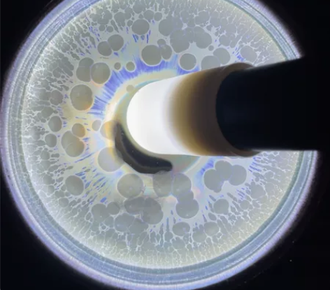 建窑建盏非遗传承人，福建省级陶瓷艺术大师，...