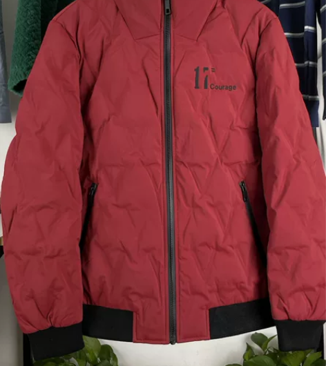 【专柜899】冬季经典简洁舒适立领羽绒服男...