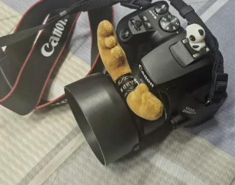 港版黑色佳能200d二代?小痰盂三代（无霉...