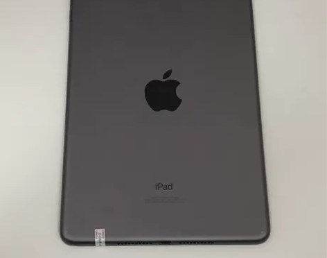 出自用的  iPad mini5 (201...