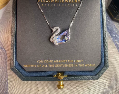 捡漏了富二代前任香港买的天鹅项链 分手了随...