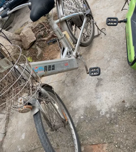 喜德盛，很好骑，电池也耐用。 感兴趣的话点...