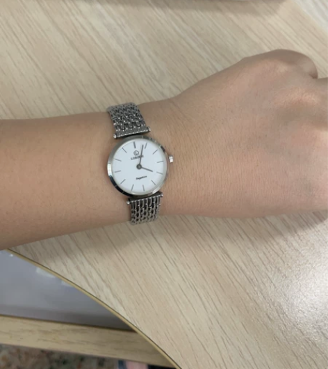 罗宾尼女士生活防水，蓝宝石镜面石英钢带手表...