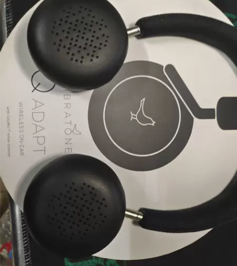 小鸟LIBRATONE Q adapt蓝牙...