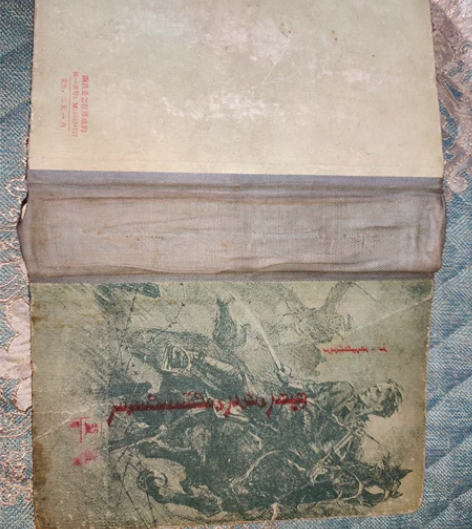 钢铁是怎样炼成的蒙文 古董1959年的书 ...