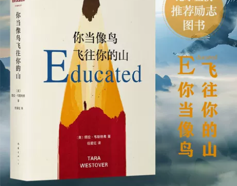 正版 你当像鸟飞往你的山 中文版 比尔盖茨...