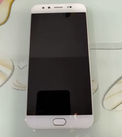 vivo x9plus6+64g，自用手机...