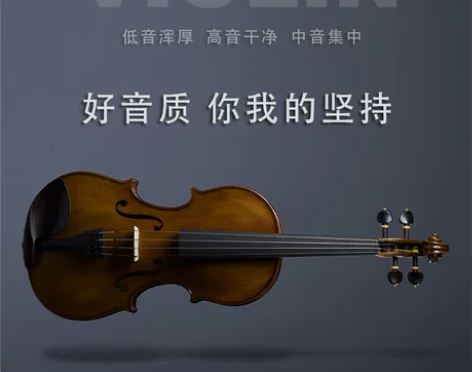 圣维斯sw003纯手工实木小提琴初学者儿