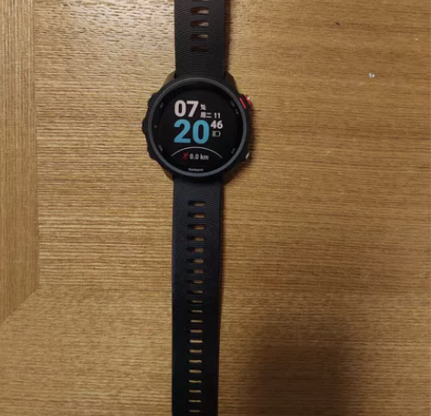 Garmin佳明Forerunner245...