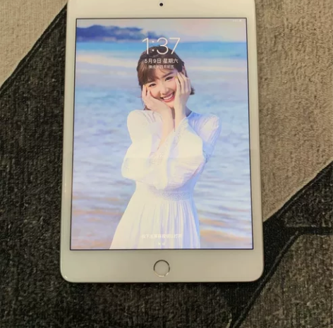 个人自用ipad mini 256G插卡版...