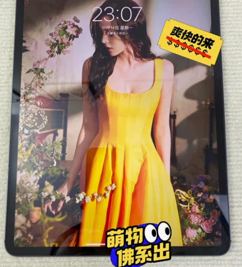 个人经济紧张转让自用ipad pro四代平...